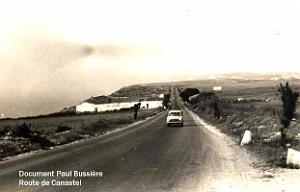 CANASTEL 046